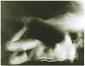 Click on the picture to enlarge