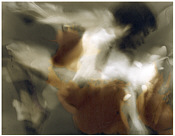 Click on the picture to enlarge