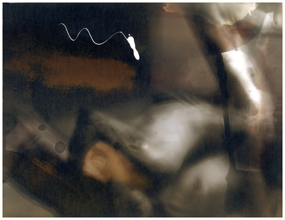 click on the picture to reduce it again