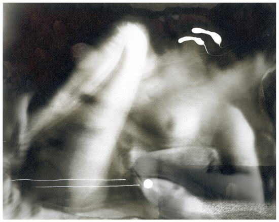 click on the picture to reduce it again