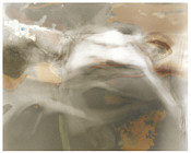 Click on the picture to enlarge