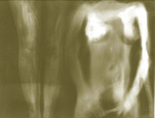 Click on the picture to enlarge