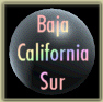 ArteTotal - Carpeta Virtual de Baja California Sur
